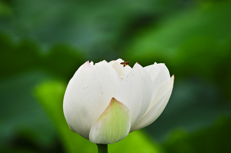 nEO_IMG_DSC_0083.jpg