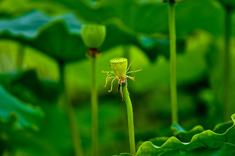 nEO_IMG_DSC_0091.jpg