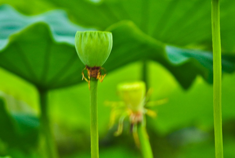 nEO_IMG_DSC_0092.jpg