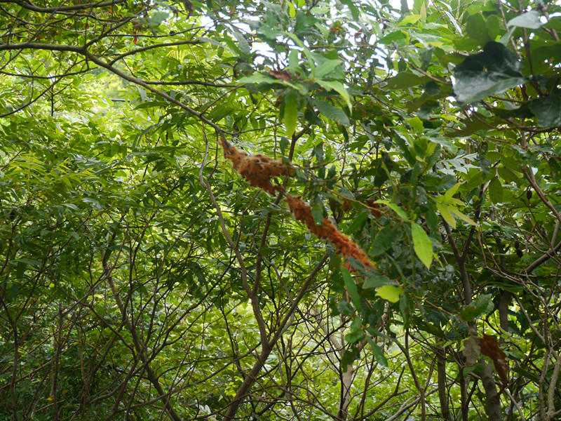 P1030949_副本.jpg