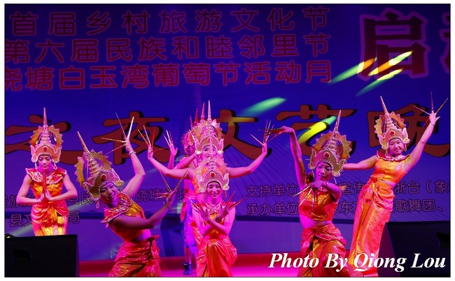 20120720民族之夜晚会 (41).jpg