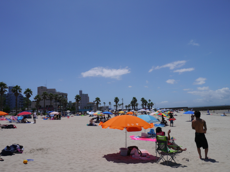 P1000631.jpg