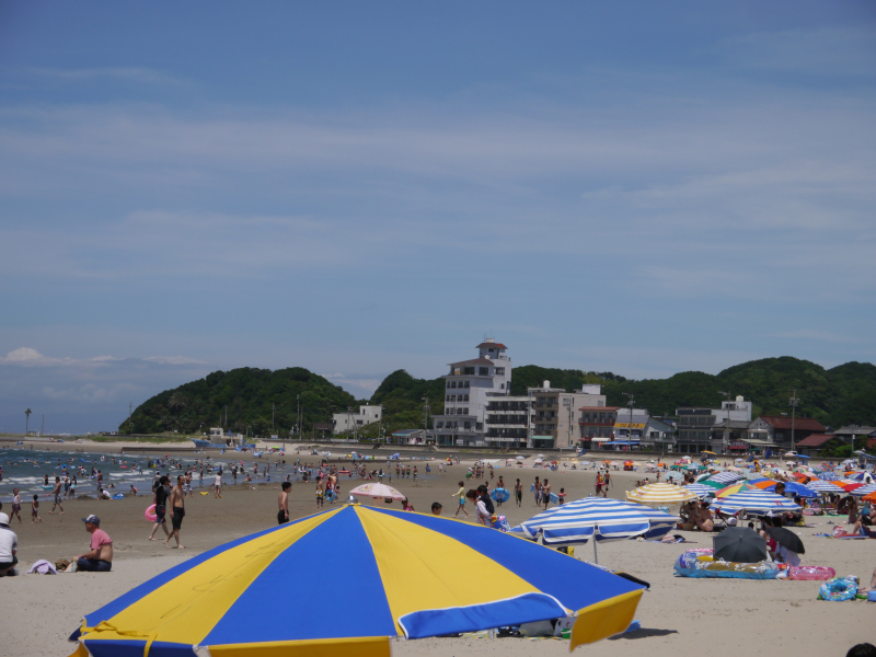 P1000634.jpg