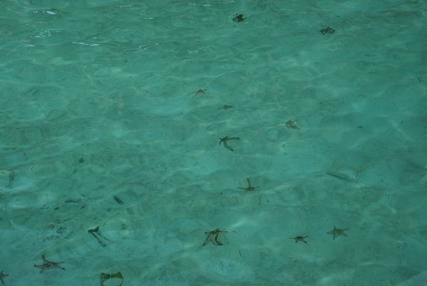 DSC_1003.jpg