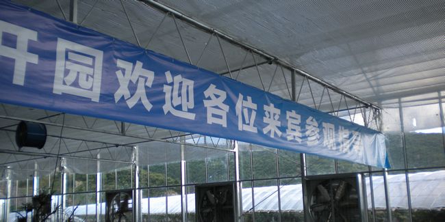 白玉湾葡萄节 08.jpg