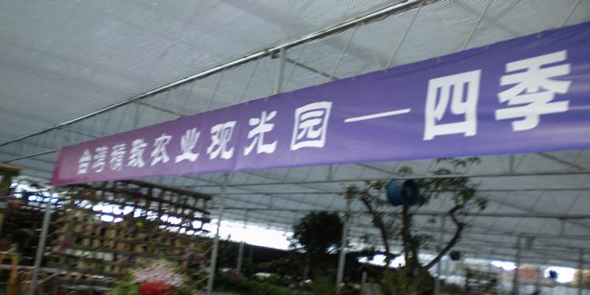 白玉湾葡萄节 05.jpg