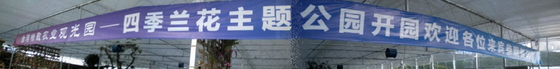 无标题.jpg