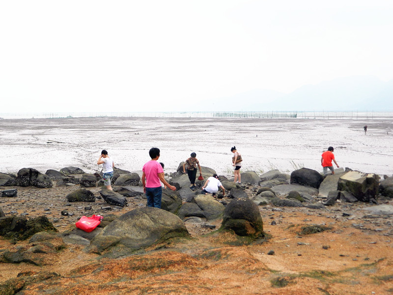 墙头海山游4.jpg