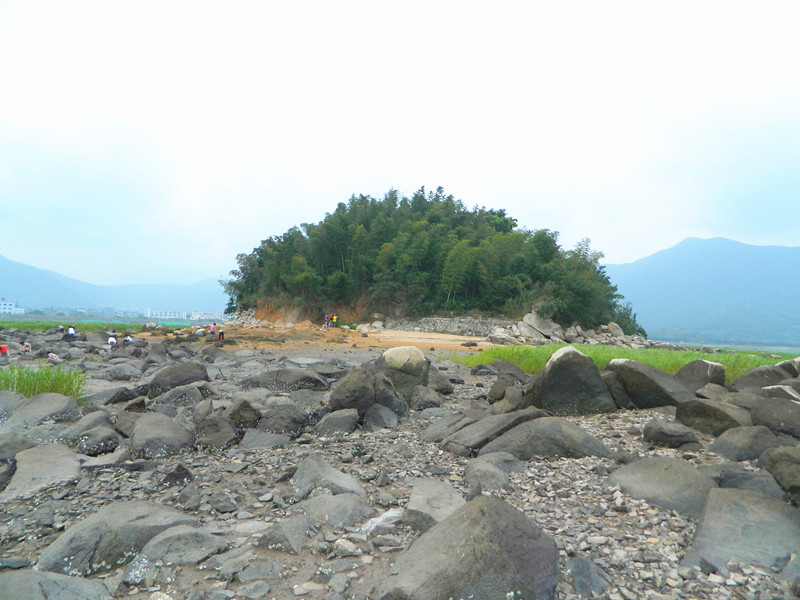 墙头海山游7.jpg