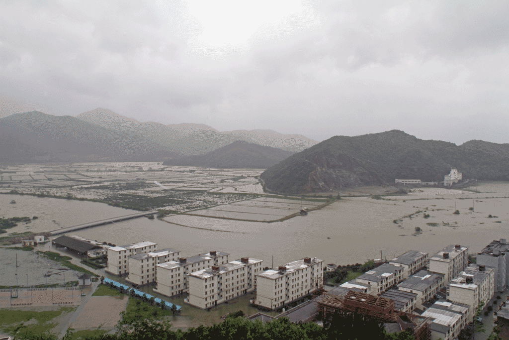 汪洋淡江口.gif