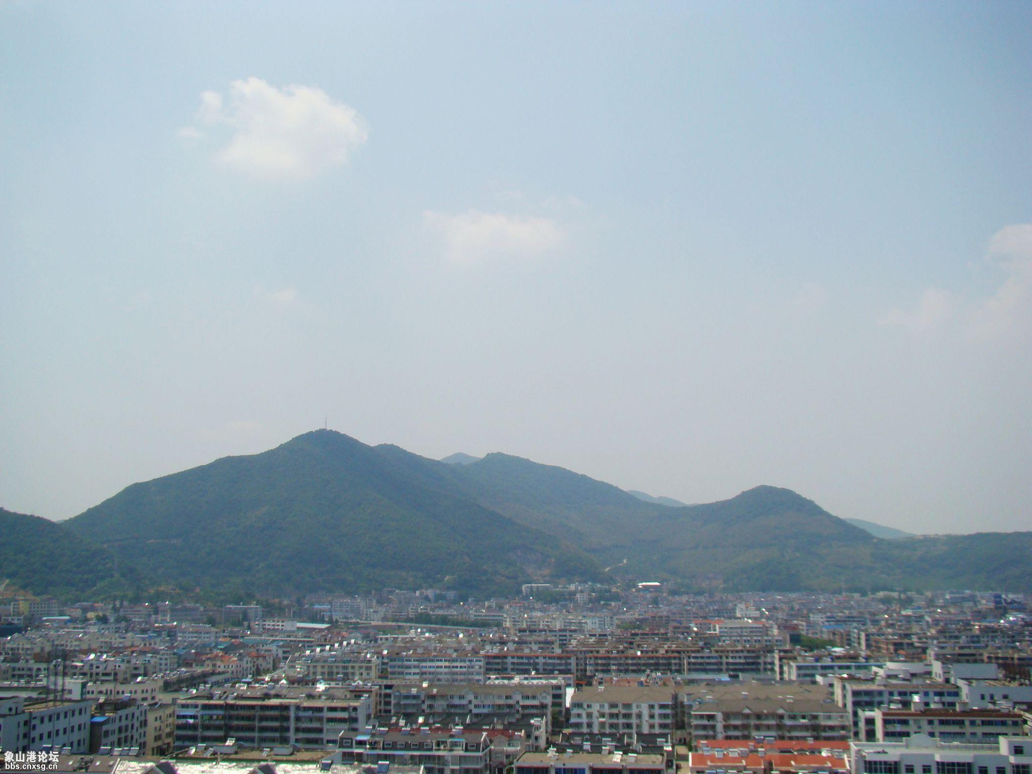 这是金港花园楼顶的“象山”