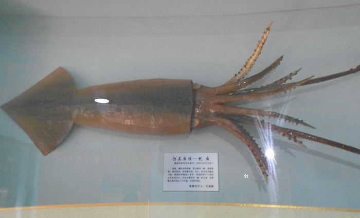 2012照片 034.jpg