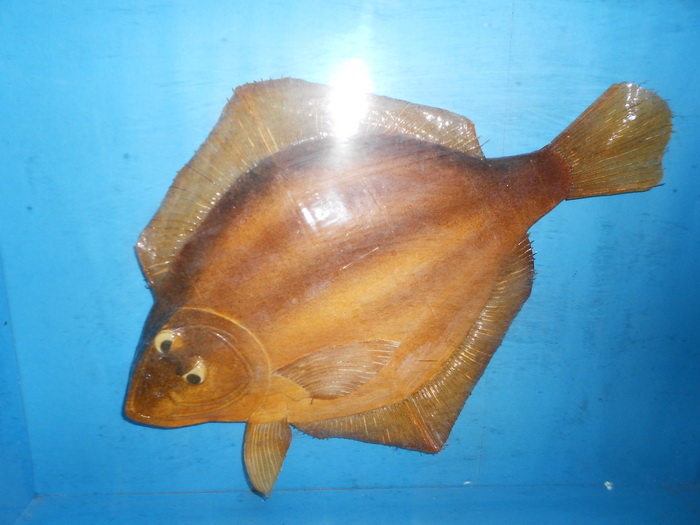 2012照片 036.jpg