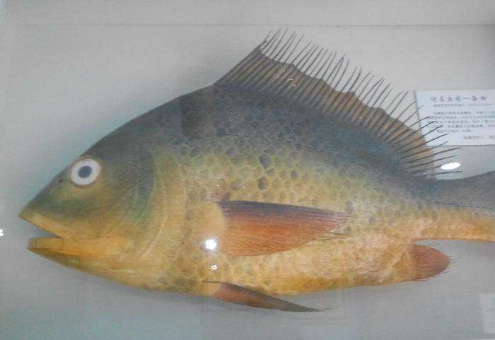 2012照片 045.jpg