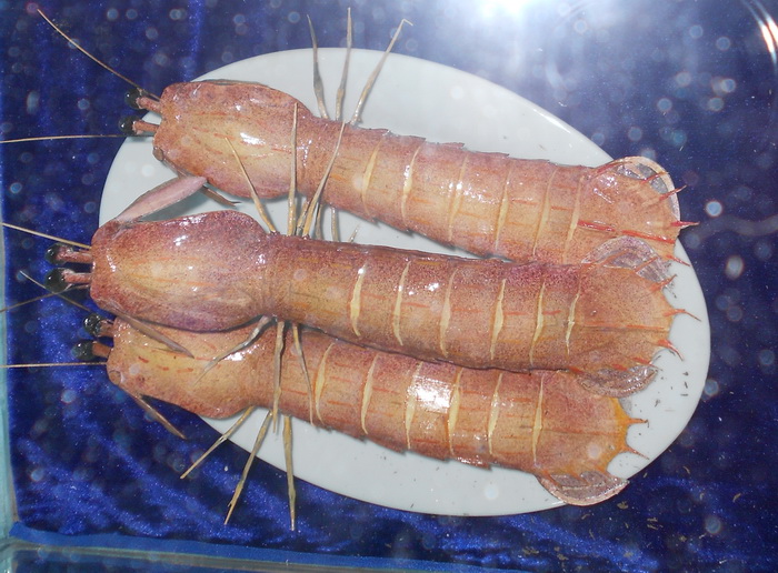 2012照片 049.jpg