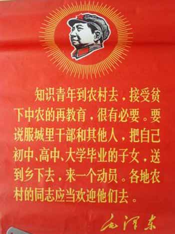 mp00008520a.jpg