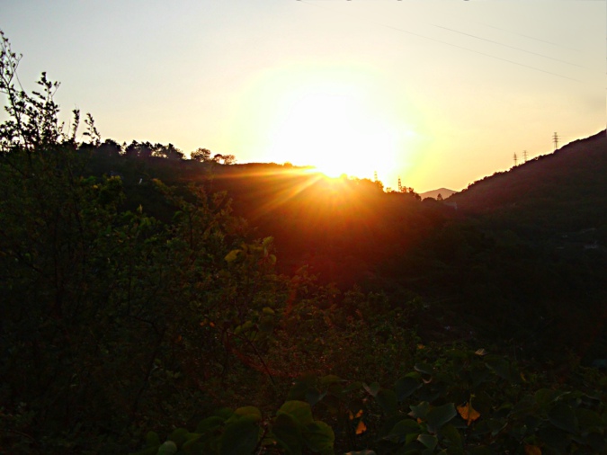 照片 010.jpg