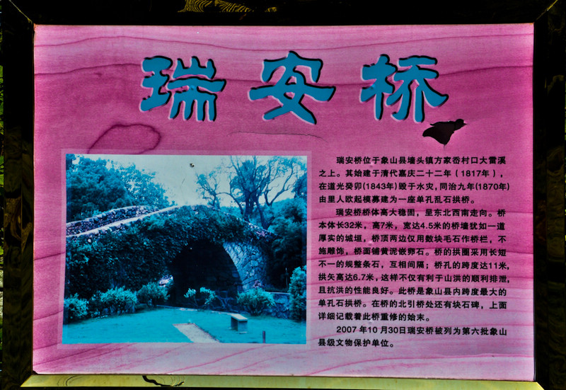 nEO_IMG_DSC_0228.jpg