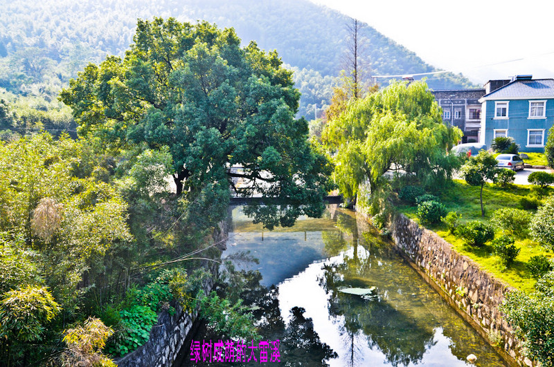 nEO_IMG_DSC_0197.jpg