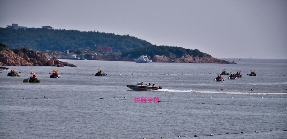 DSC_0101.jpg