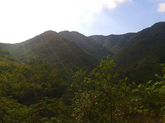 2012-10-01 14.20.20.jpg