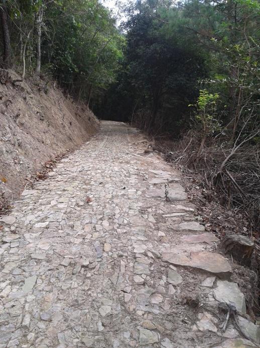 2012-10-01 14.31.15.jpg