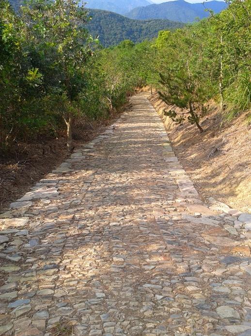 2012-10-01 15.06.35.jpg