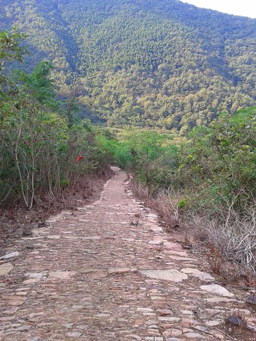 2012-10-01 15.22.12.jpg