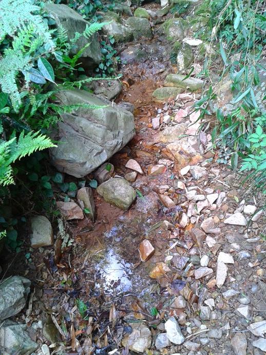 2012-10-01 15.39.52.jpg
