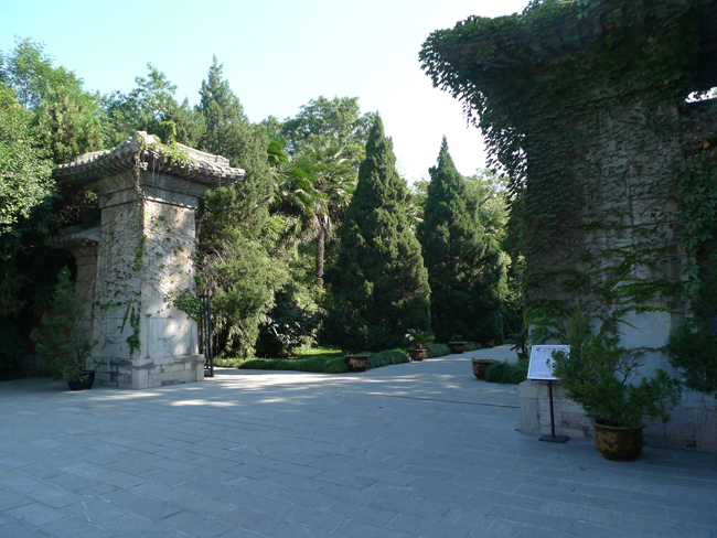 P1080134.JPG