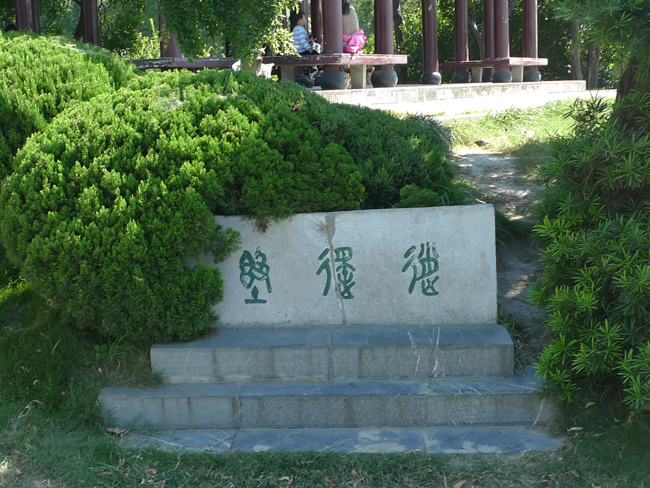 P1080271.JPG