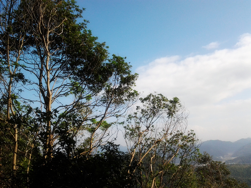 2012-10-13 08.58.51.jpg