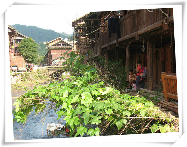 阳光.jpg