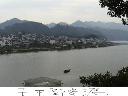 IMAG0119.JPG