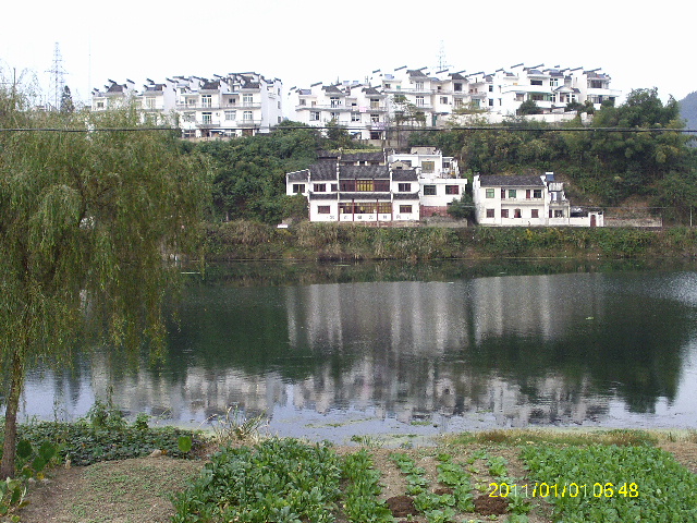 IMAG0053.JPG