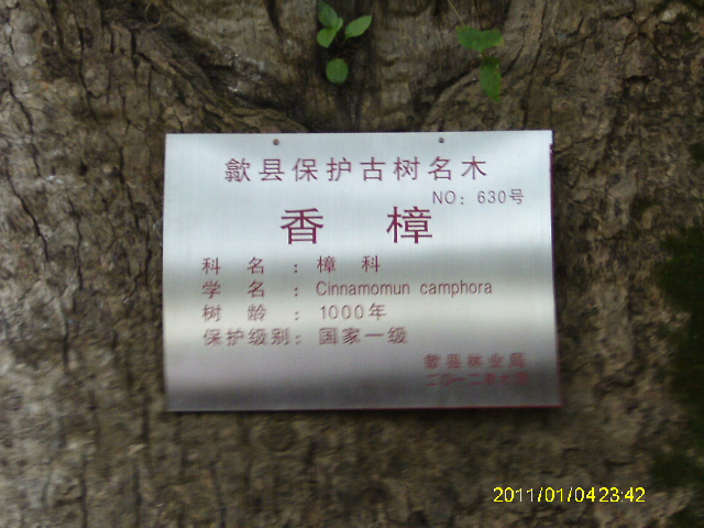 IMAG0107.JPG