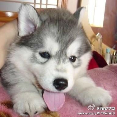 7575673djw1dyqd2xepzlj.jpg