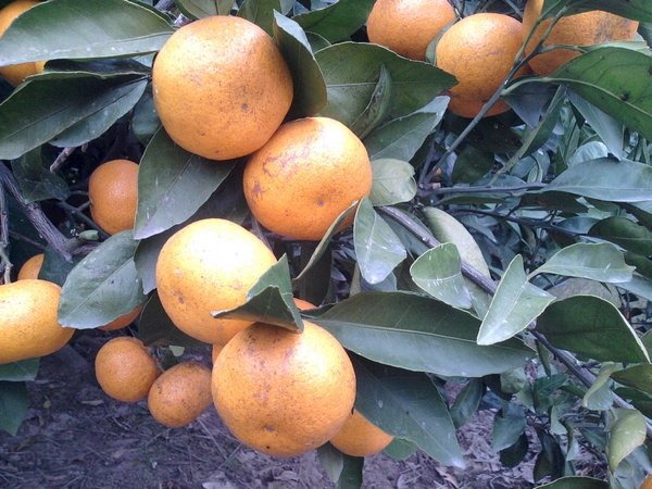 2012-11-15 14.00.12.jpg
