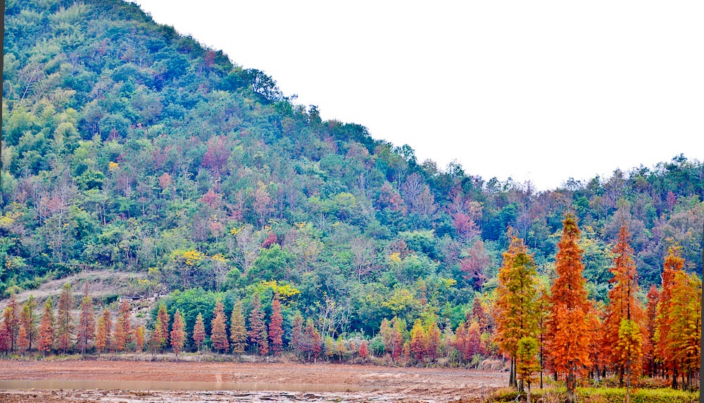 未命名-0031.jpg