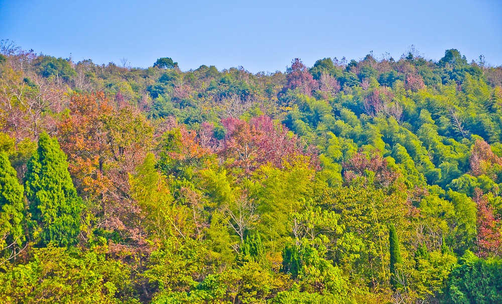 未命名-0073.jpg