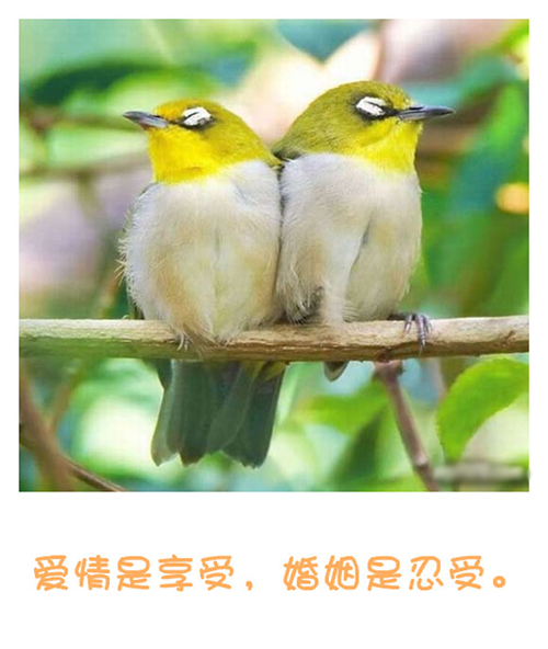 my747510032418_副本.jpg