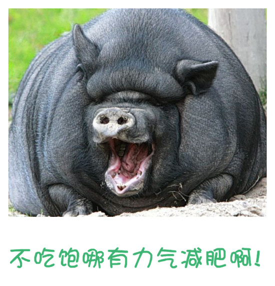 20101119081842763836_副本.jpg