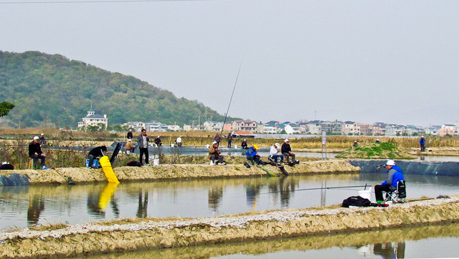 未命名-0008.jpg