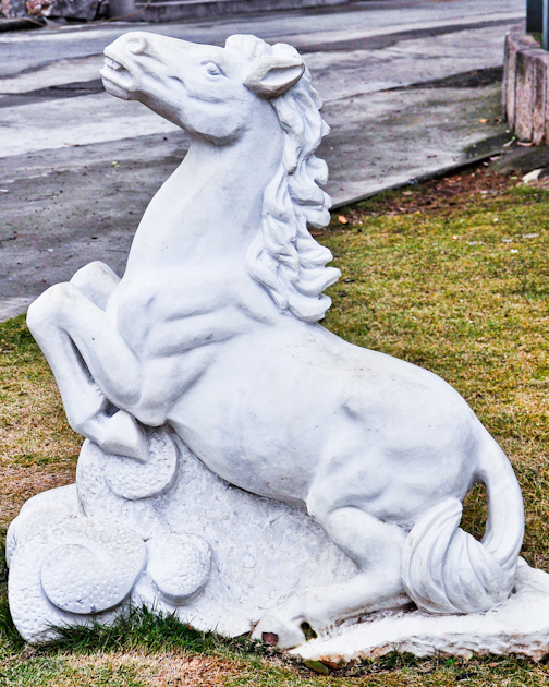 未命名-9.jpg