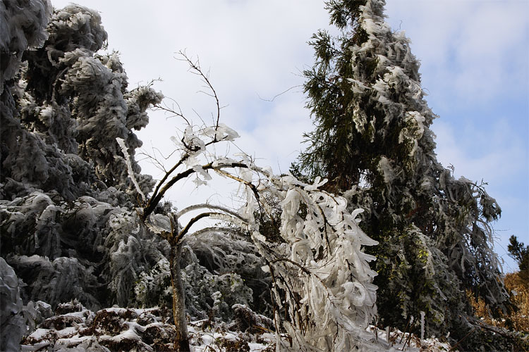 雪景4.jpg