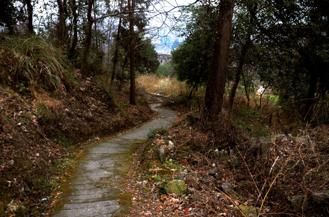 石屋山小径1.jpg
