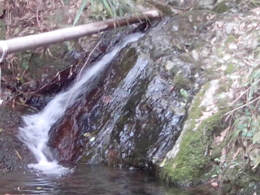 飞泉禅寺瀑布.jpg