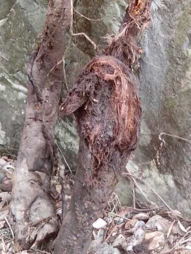 飞泉禅寺4·.jpg