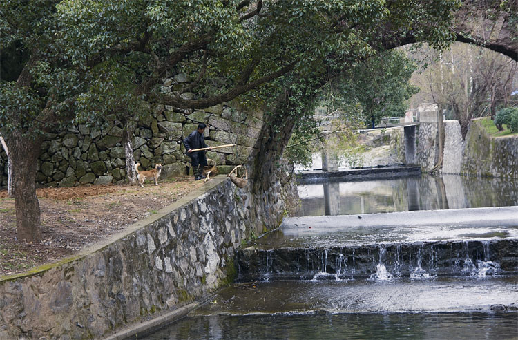 “IMG_183-111”为智能对象-1.jpg