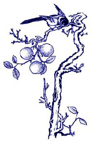 三元及第.jpg